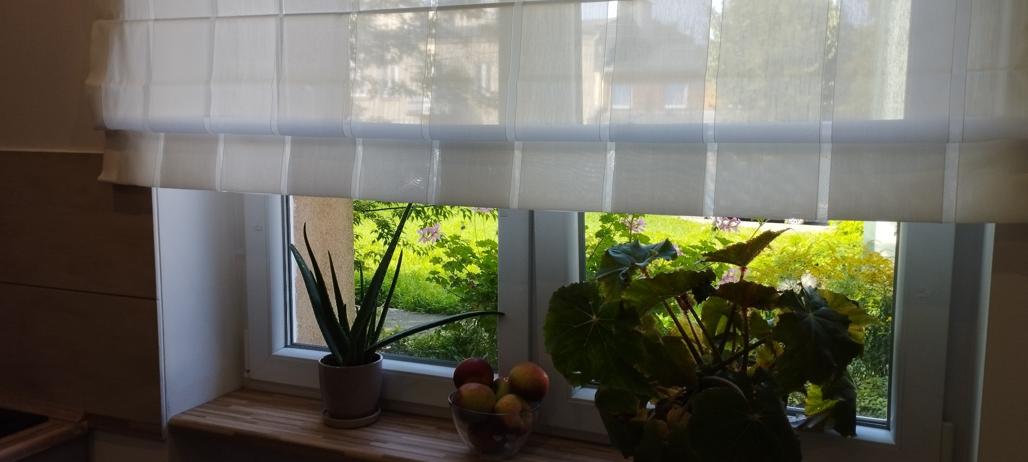 Jasne, kremowe panele okienne rzymskie z widoczną fakturą materiału, częściowo podniesione, z widokiem na zielony ogród, na parapecie doniczki z roślinami i miska z owocami.