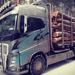 Usługi Transportowe, transport drewna, HDS - Transport krajowy Piła