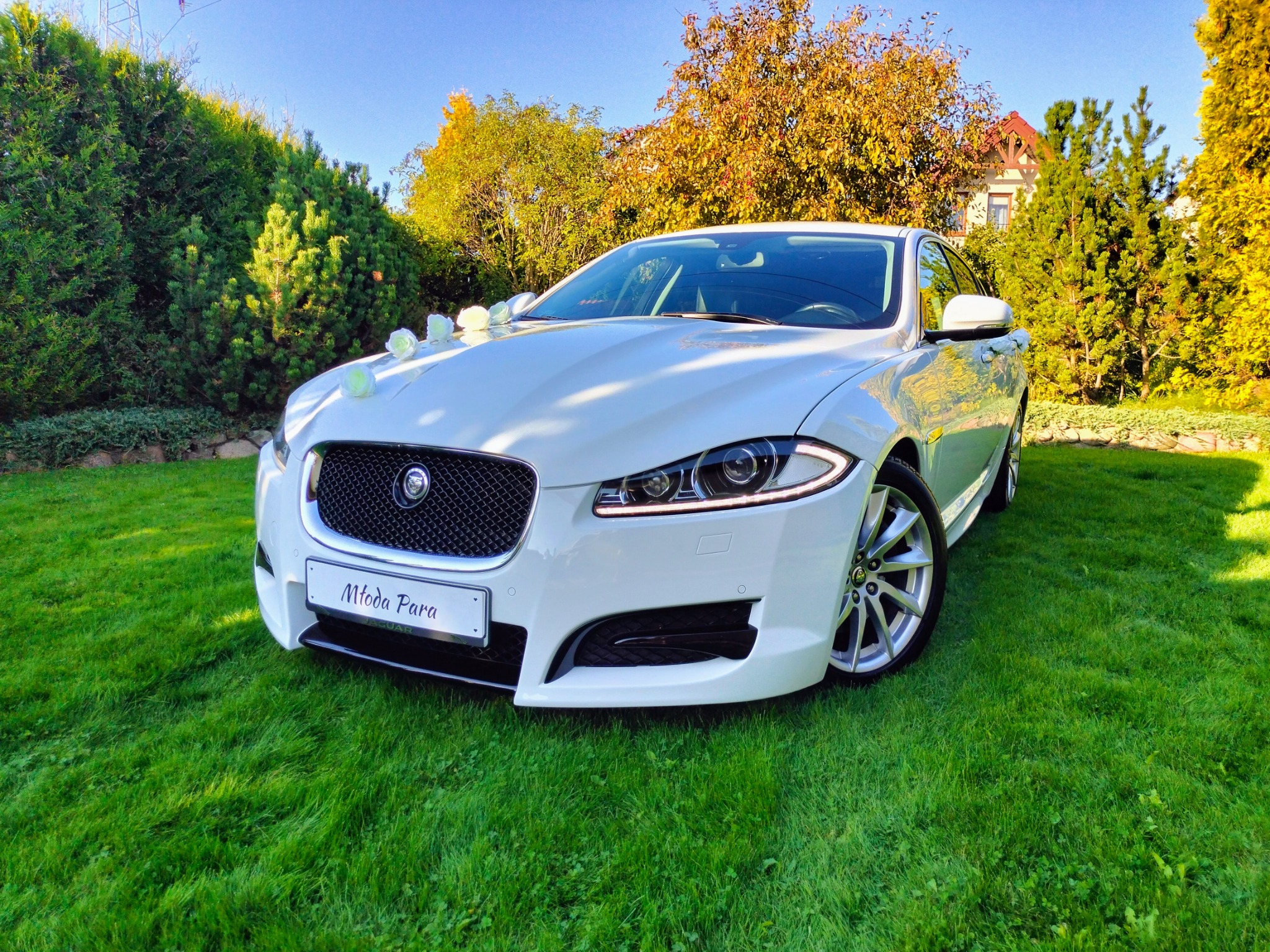 Elegancki biały Jaguar z dekoracjami kwiatowymi na masce, zaparkowany na soczystej zielonej trawie przed zadbanym ogrodem.