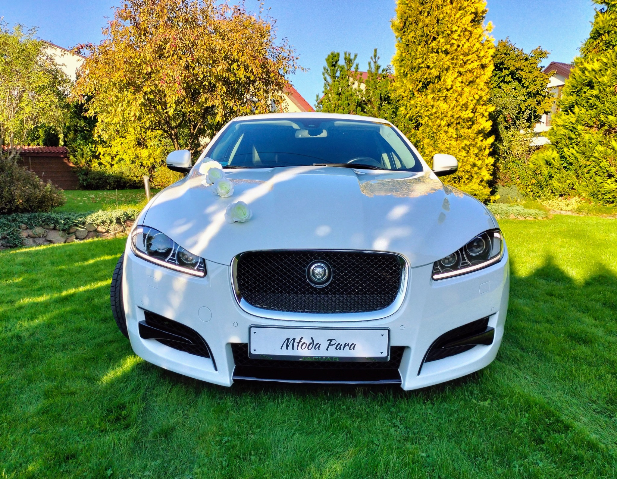 Biały Jaguar z dekoracją kwiatową na masce i tablicą 'Młoda Para' na tle zielonego trawnika i drzew w Białymstoku.