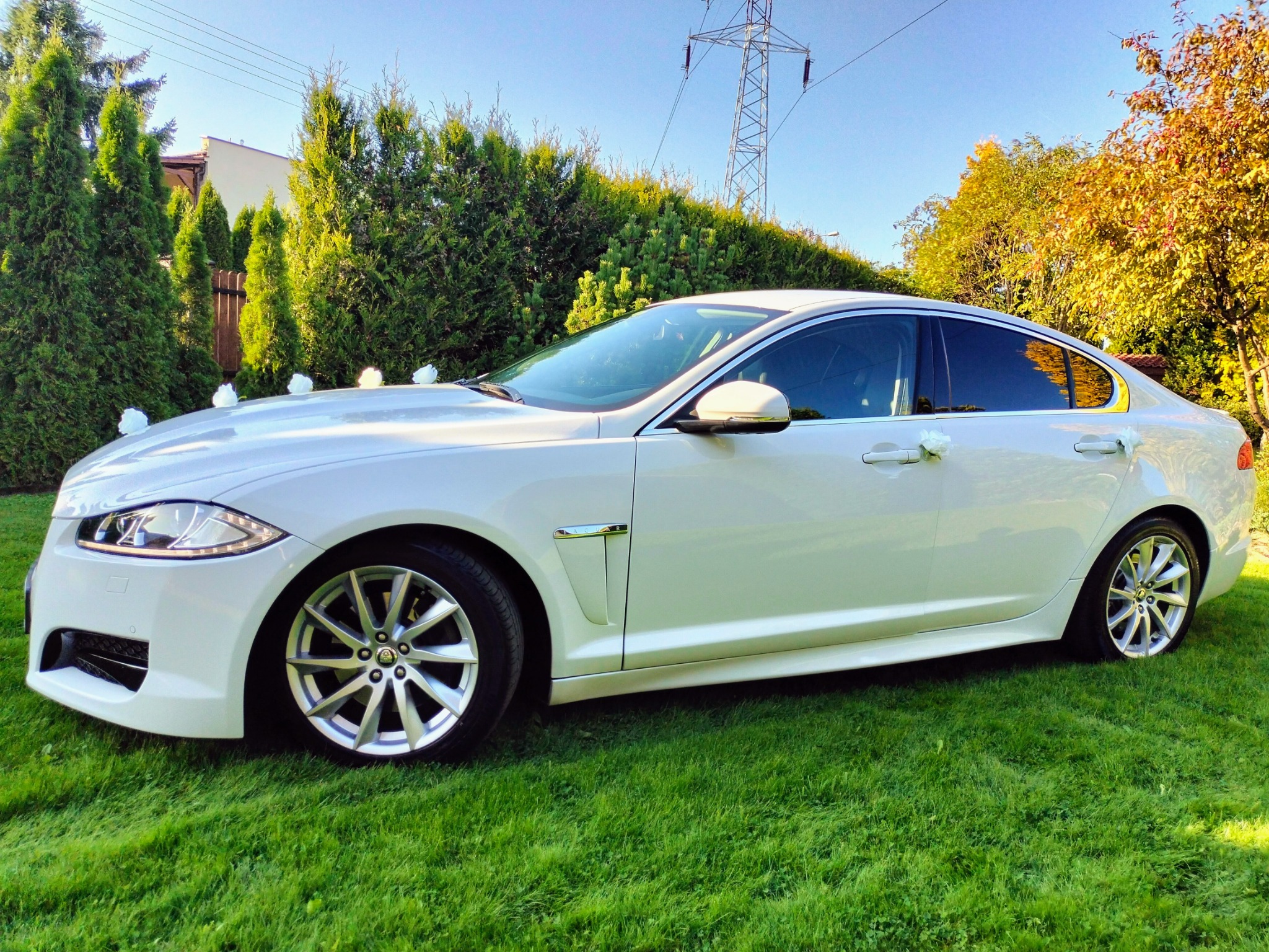 Biały Jaguar XF udekorowany kwiatami na dachu i klamkach, stojący na trawniku, prawdopodobnie przygotowany do ślubu.