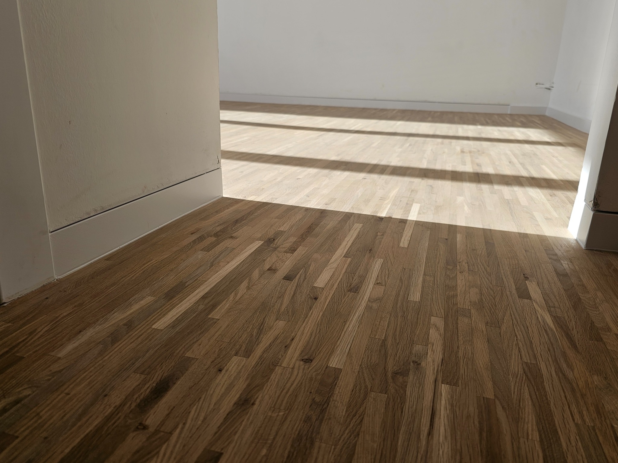 Parkiet dębowy ułożony w jodełkę, oświetlony promieniami słonecznymi wpadającymi przez okno, widok z niskiej perspektywy przy progu drzwi.