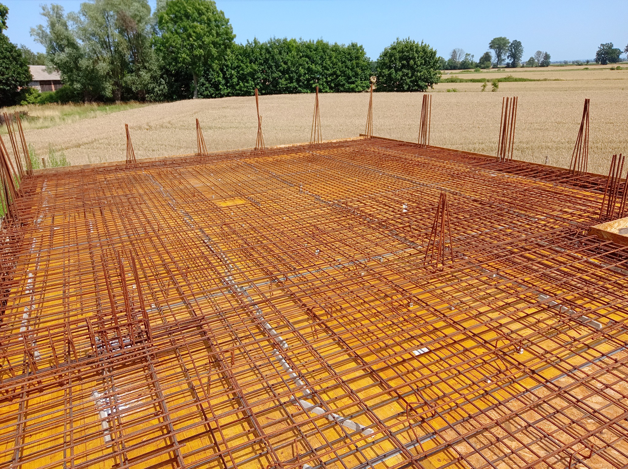 Zbrojenie płyty fundamentowej na deskowaniu z widocznymi wystającymi prętami, w tle pole uprawne i drzewa pod błękitnym niebem.