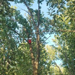 Pielęgnacja ogrodów Rudniki 2