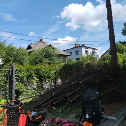 Pielęgnacja i wycinka drzew Łukasz Stypa - Ogrodnik Zawiercie