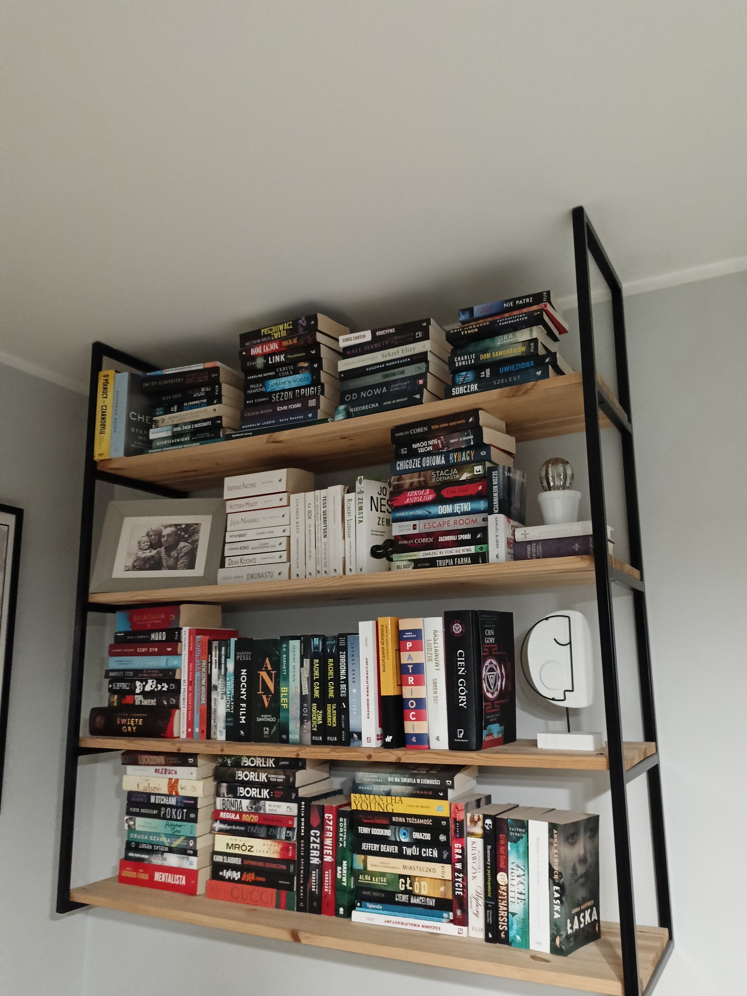 Półka na książki z czarną metalową ramą i drewnianymi półkami, wypełniona różnorodnymi książkami, ramką ze zdjęciem i dekoracyjnymi przedmiotami, takimi jak biała rzeźba i mały kaktus w doniczce.