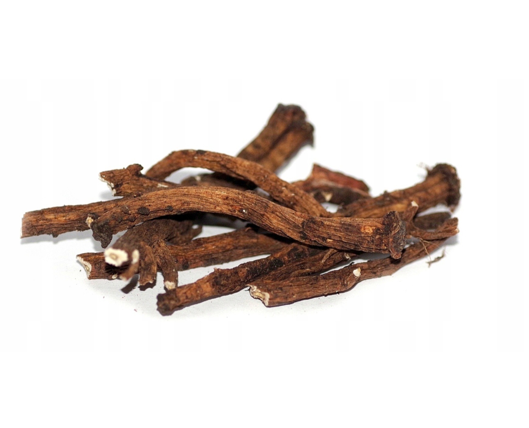 Korzenie roślin na białym tle, widoczne poprzeczne przekroje.