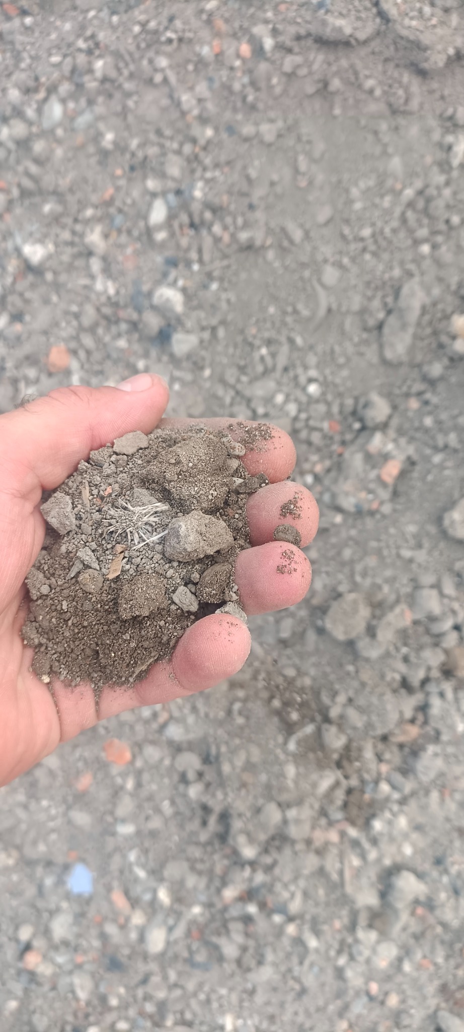 Dłoń trzymająca mieszankę piasku, żwiru i drobnych kamieni na tle podobnego podłoża.