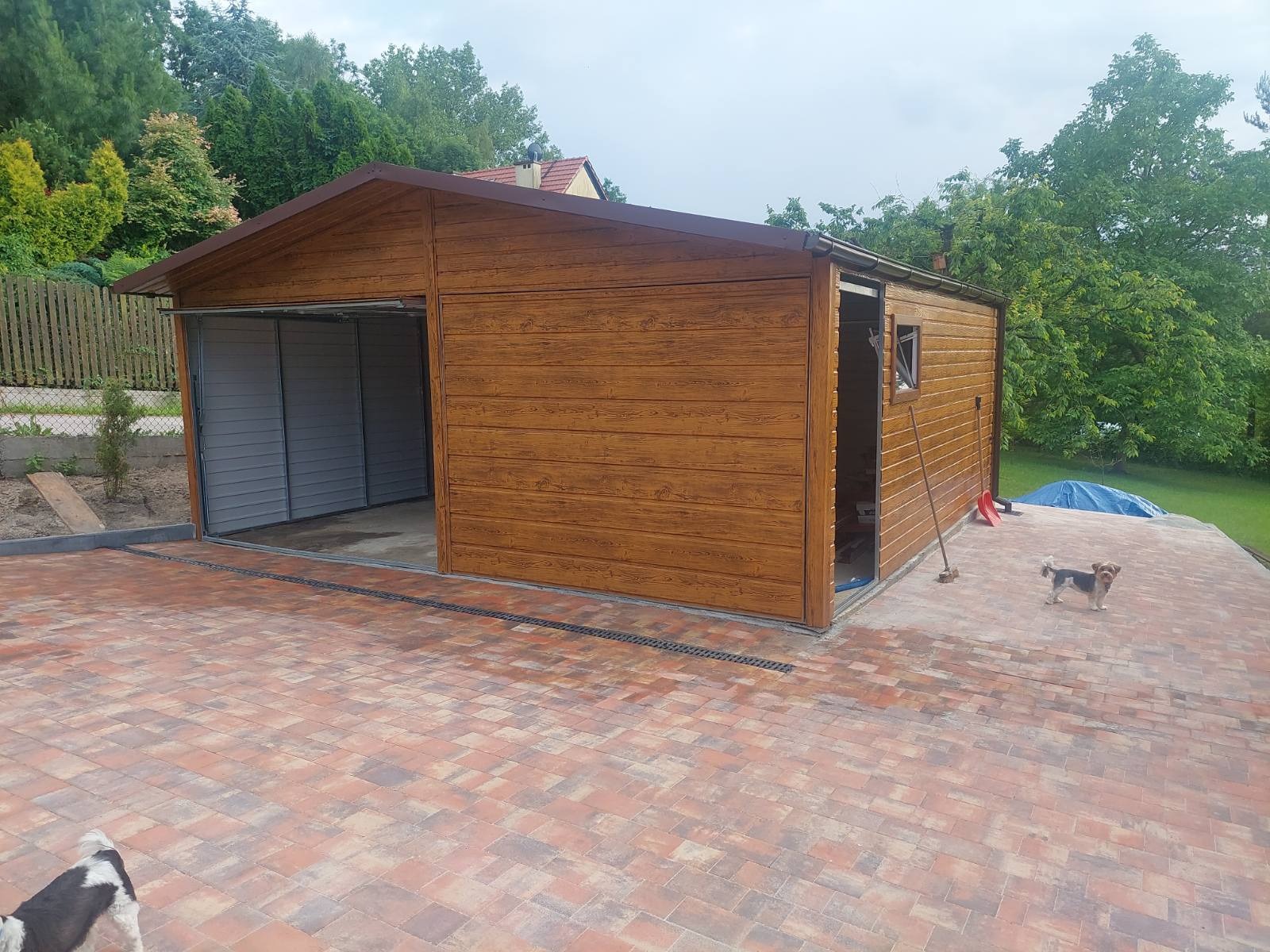 Gotowy garaż blaszany z imitacją drewna, częściowo otwarty, z widocznym wnętrzem w kolorze szarym, położony na posesji z kostki brukowej, z dwoma małymi psami w kadrze.