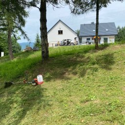 Wycinka drzew Łososina Dolna 3