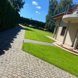 Robert sromek - Ułożona kostka brukowa prowadząca do domu z zadbanym trawnikiem i wysokim żywopłotem w słoneczny dzień.