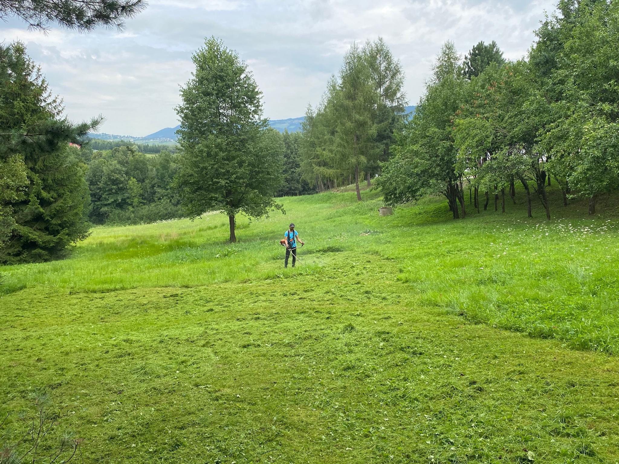 Operator w niebieskiej koszulce kosi rozległy trawnik zarośnięty drzewami, używając podkaszarki spalinowej na tle pagórkowatego krajobrazu.