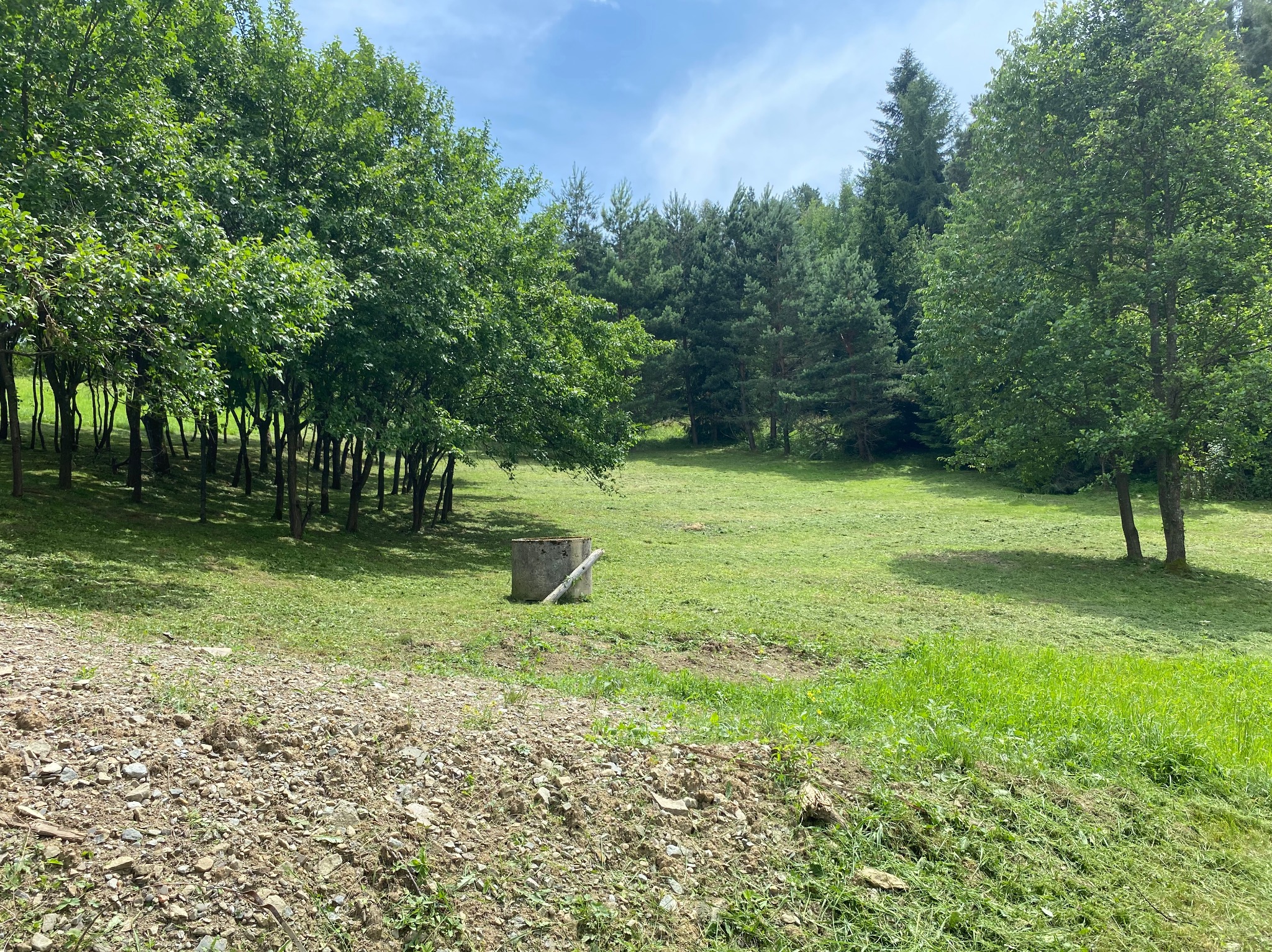 Krajobraz z polaną po koszeniu trawy, widoczny betonowy krąg studni i las w tle, na pierwszym planie usypana ziemia z kamieniami.