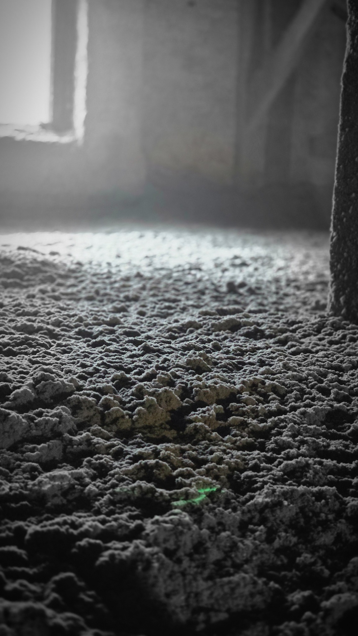 Szara, nierówna powierzchnia ocieplenia poddasza z widocznym fragmentem okna i elementami konstrukcji dachu w tle, oświetlona naturalnym światłem.