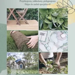 Kompozycja zdjęć: drewniany taras z krzesłem, liście funkii, rozwijana rolka trawy, plan ogrodu, kosiarka na trawie, pielęgnacja roślin w doniczce. Kolaż reklamowy usług ogrodniczych.