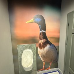 Tapetowanie Sulejówek 1