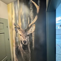 Tapetowanie Sulejówek 3