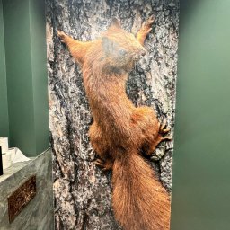 Tapetowanie Sulejówek 4