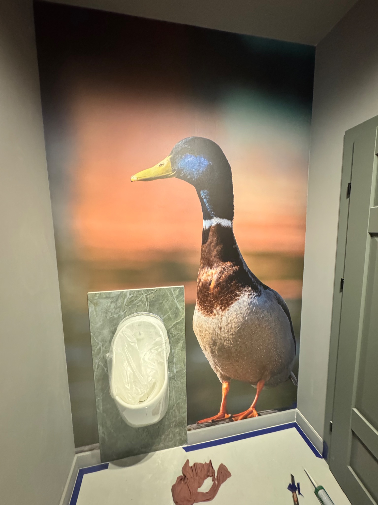 Fototapeta z kaczką w łazience, z zabezpieczonym pisuarze i narzędziami na podłodze. Ujęcie z bliska, ukazujące detale aplikacji fototapety.