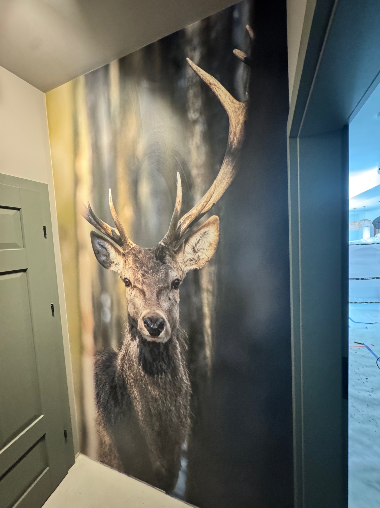 Fototapeta z motywem jelenia na ścianie w korytarzu, widok z dołu, obok zielone drzwi i fragment wejścia do innego pomieszczenia. Realistyczny wzór, naturalne barwy.