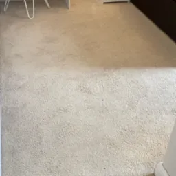 Beżowy dywan z krótkim włosiem, widoczne ślady użytkowania, w tle białe meble i niebieskie wezgłowie łóżka.