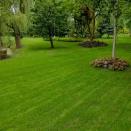 Rozległy trawnik z równo przystrzyżoną trawą, otoczony drzewami liściastymi, z elementami dekoracyjnymi w postaci kamieni i roślinności ozdobnej u podstawy drzew.