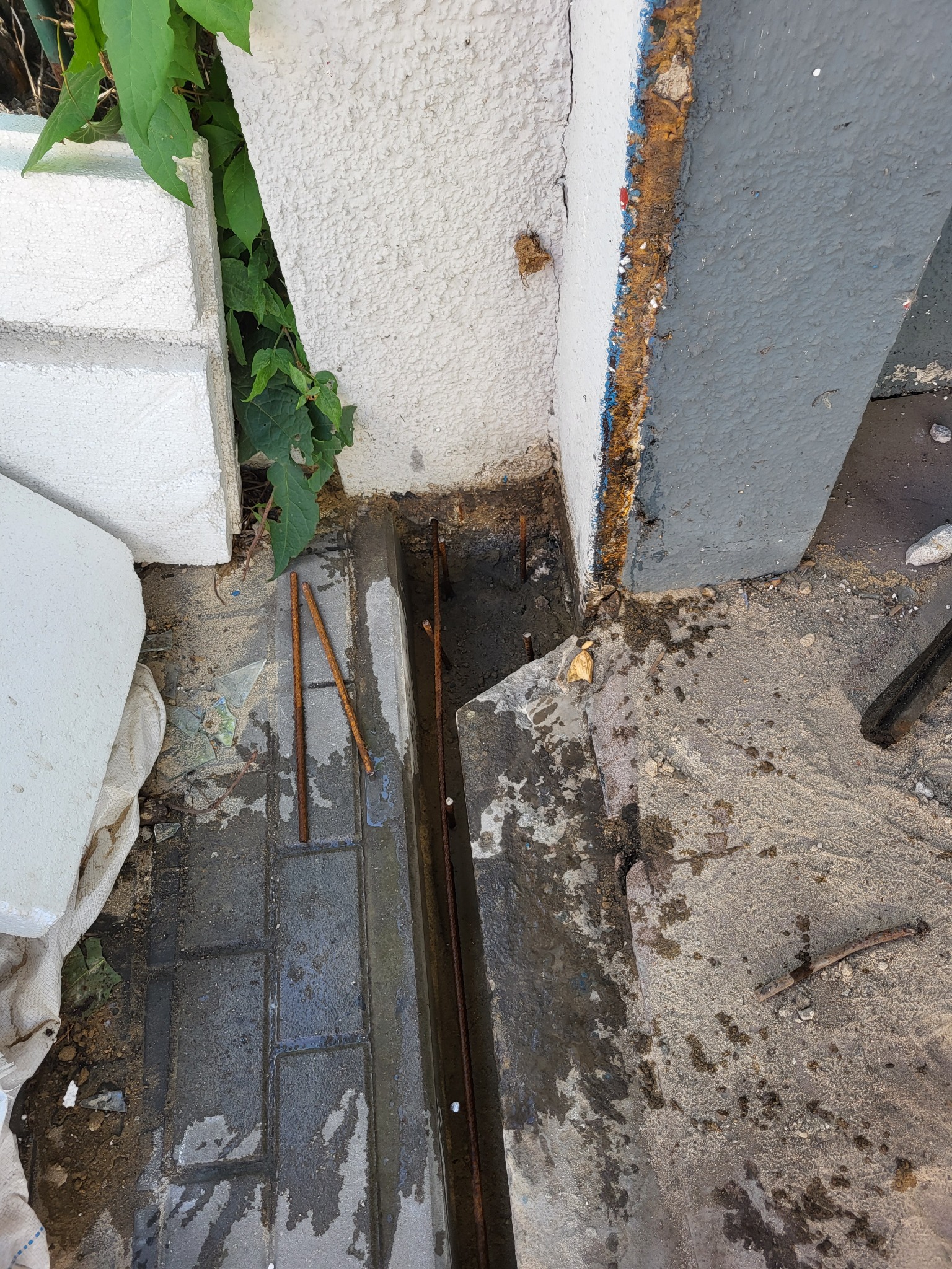 Przygotowanie podłoża pod elewację: wykop z widocznym zbrojeniem, fragmentem ściany z odpadającą farbą i roślinnością.