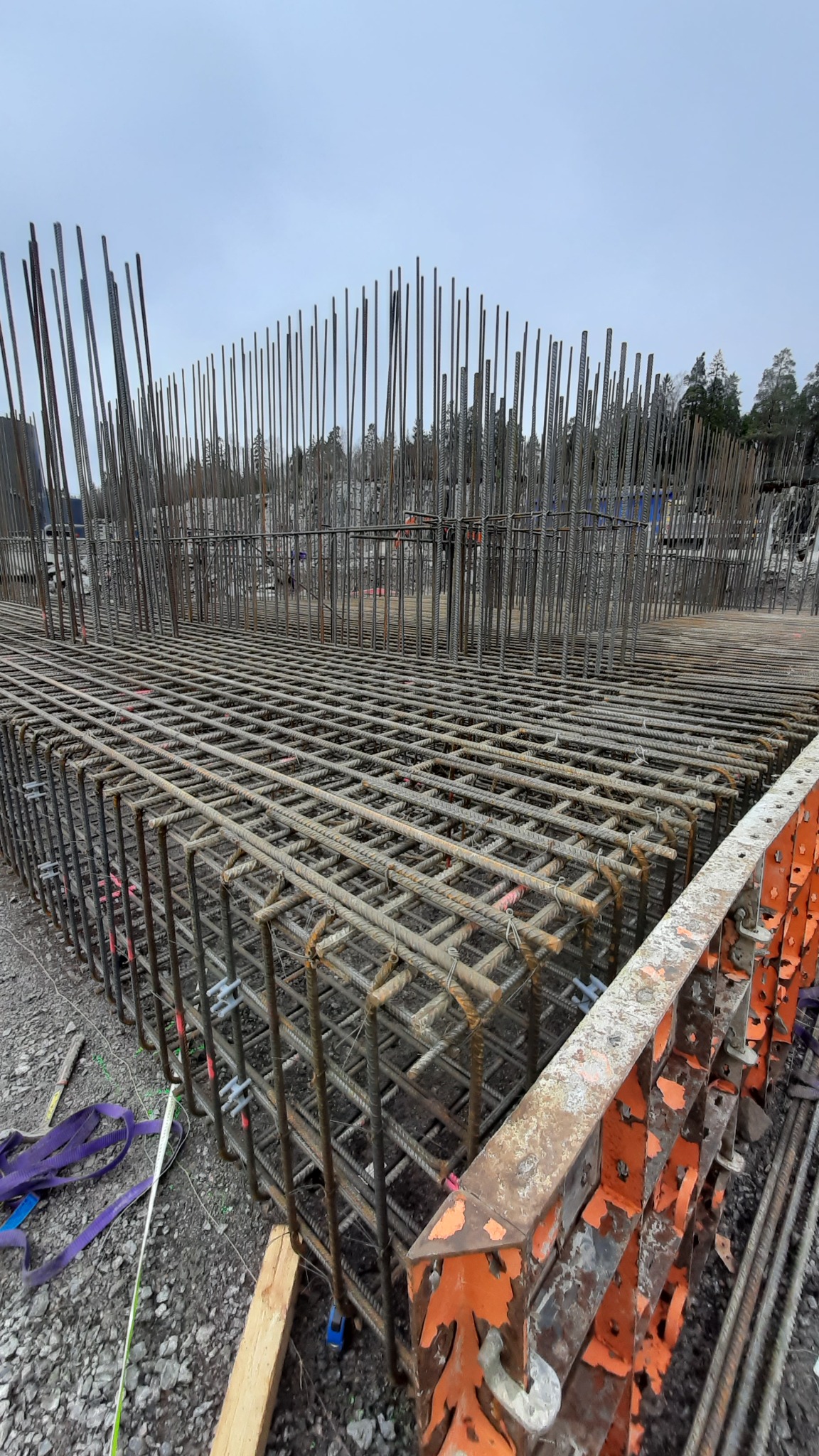 Siatka zbrojeniowa fundamentu na placu budowy, widoczne pręty pionowe i poziome połączone w regularną strukturę, szalunki w kolorze pomarańczowym, w tle drzewa i pochmurne niebo.