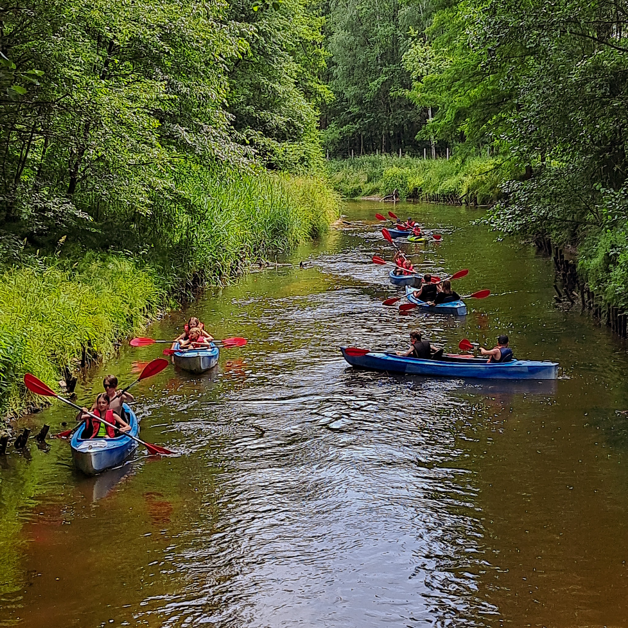 Spływ kajakowy pośród drzew: grupa osób w niebieskich kajakach z czerwonymi wiosłami płynie wąską rzeką otoczoną bujną zielenią.