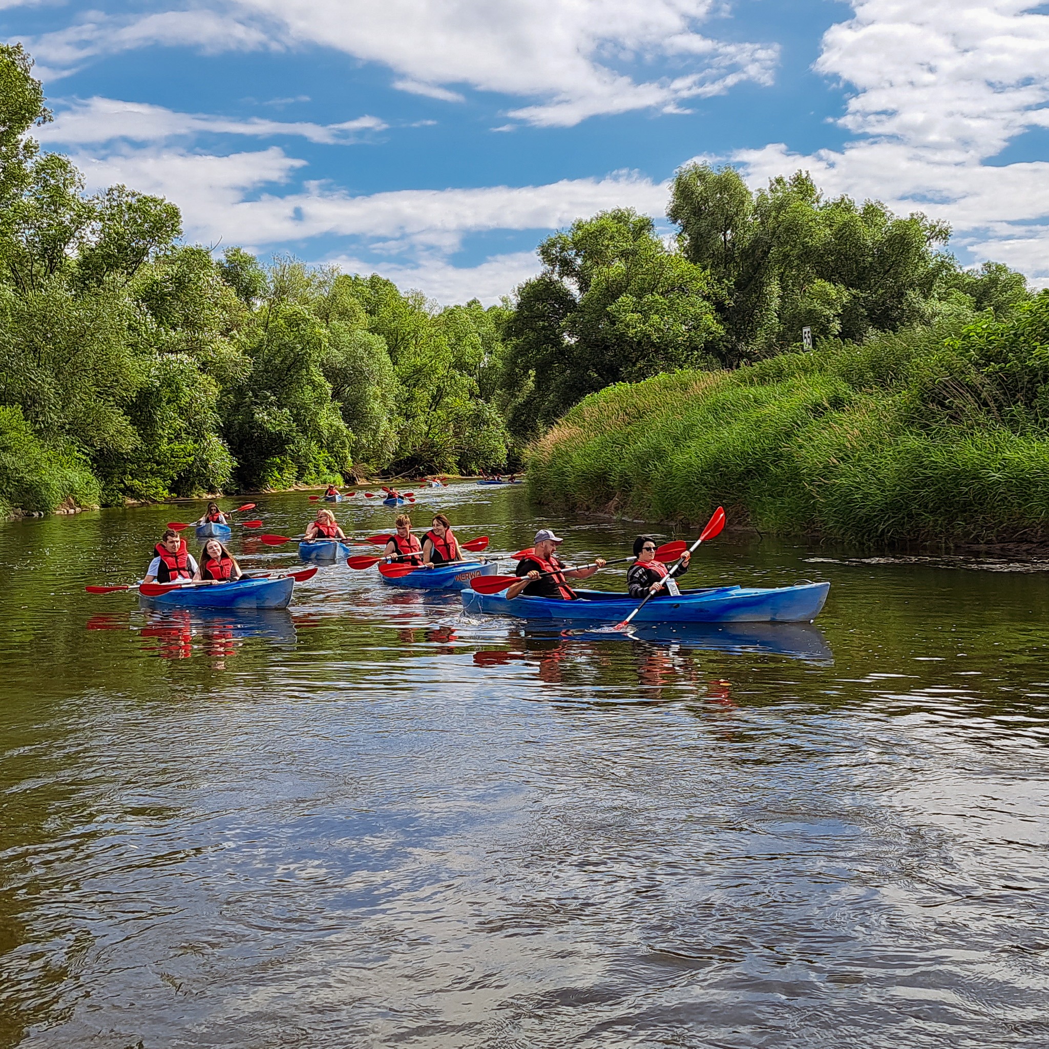 Grupa kajakarzy płynie po rzece otoczonej zielenią, niektórzy w kamizelkach ratunkowych, wiosłując czerwonymi wiosłami.