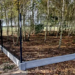 Czarny panelowy płot na betonowej podmurówce, otoczony brzozowym lasem w jesiennej scenerii.