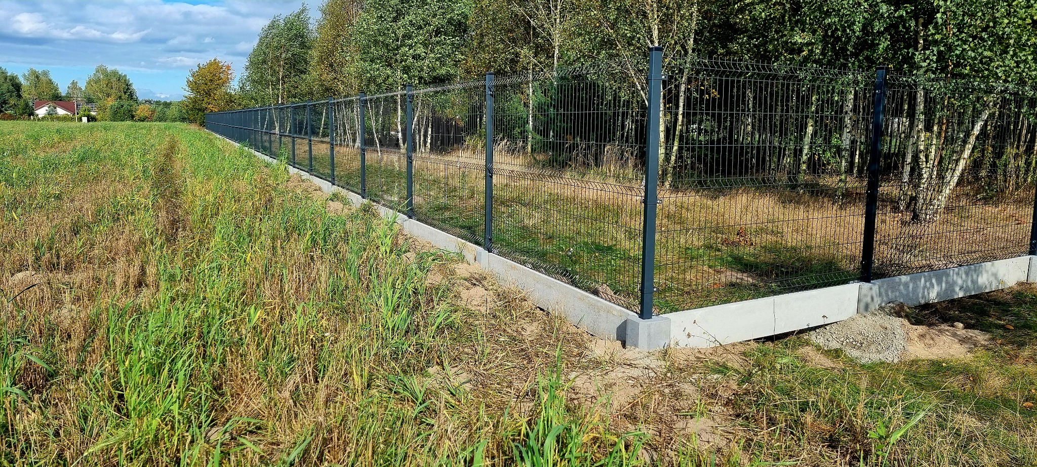 Długie, proste ogrodzenie z paneli zgrzewanych na betonowej podmurówce oddziela pole od zadrzewionego terenu.