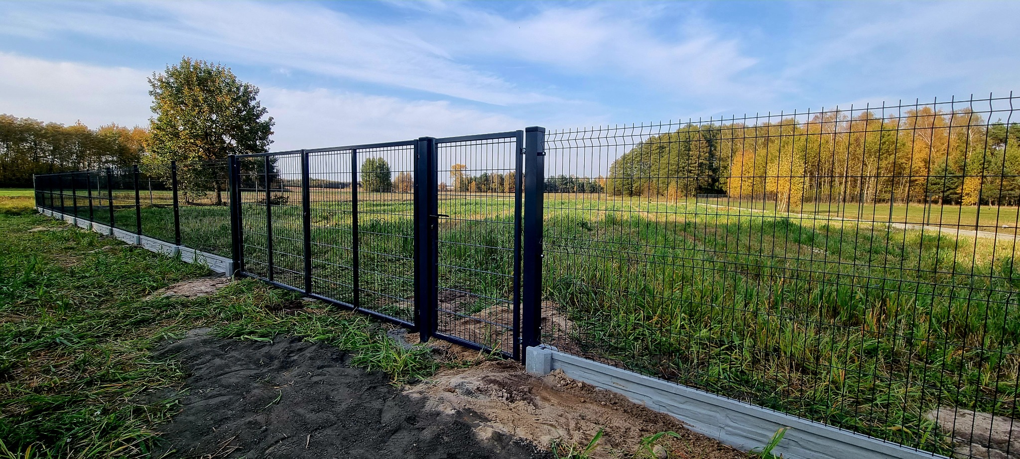 Czarna, metalowa brama i przęsła ogrodzenia panelowego na betonowej podmurówce, widok na pole i las w tle.