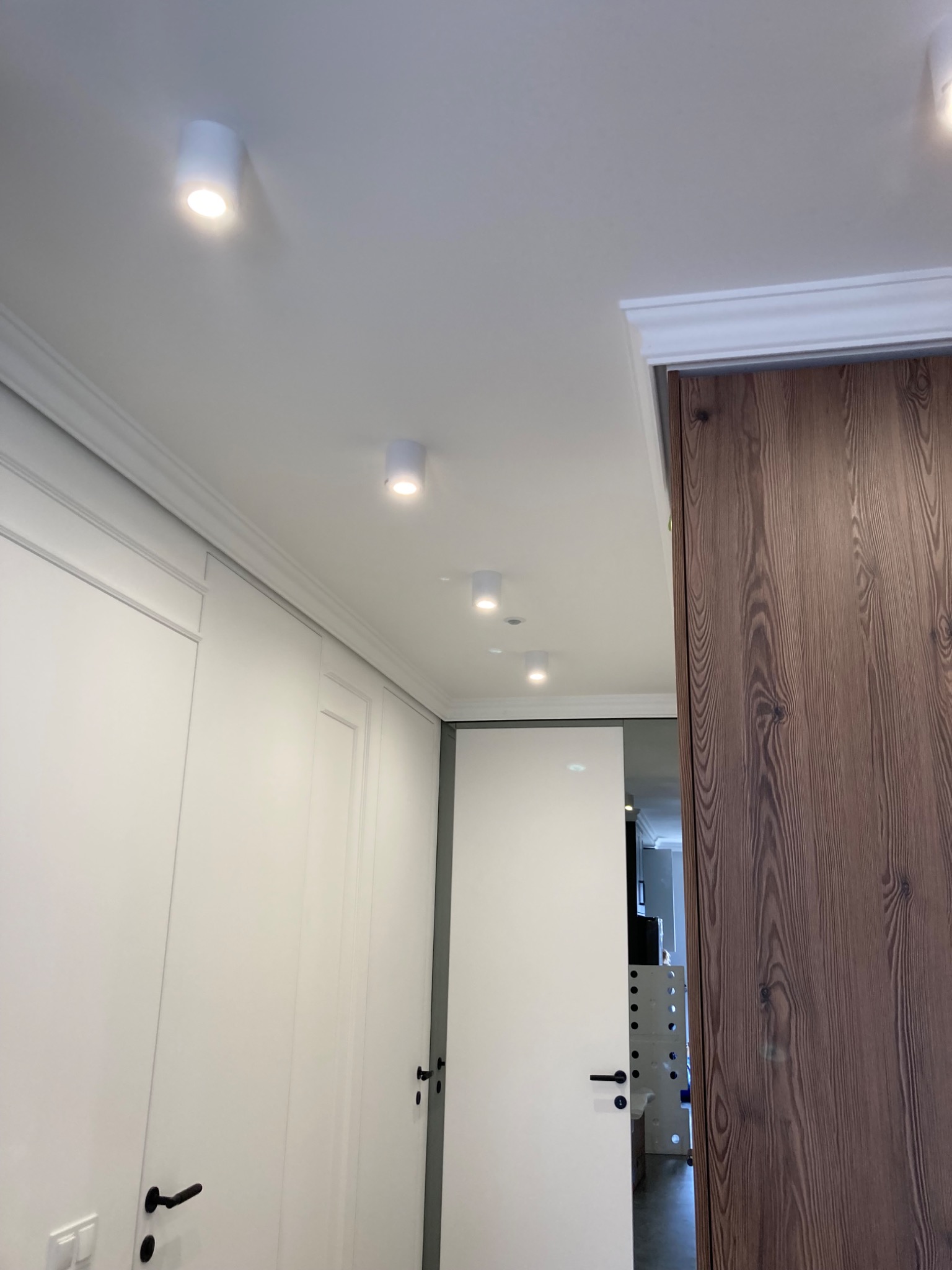 Wnętrze z białymi, panelowymi ścianami, ukrytymi drzwiami z drewnianą okleiną i rzędem punktowych lamp sufitowych LED, oświetlających korytarz.