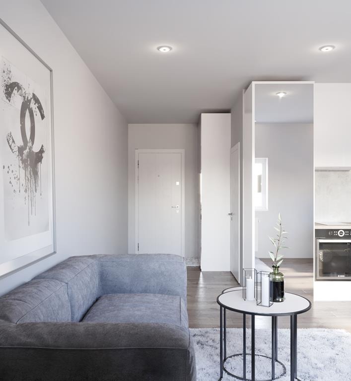 Wizualizacja kawalerki 20m2: szara sofa narożna, okrągły stolik z dekoracjami, plakat z motywem grafitti, białe drzwi wejściowe i widok na aneks kuchenny.