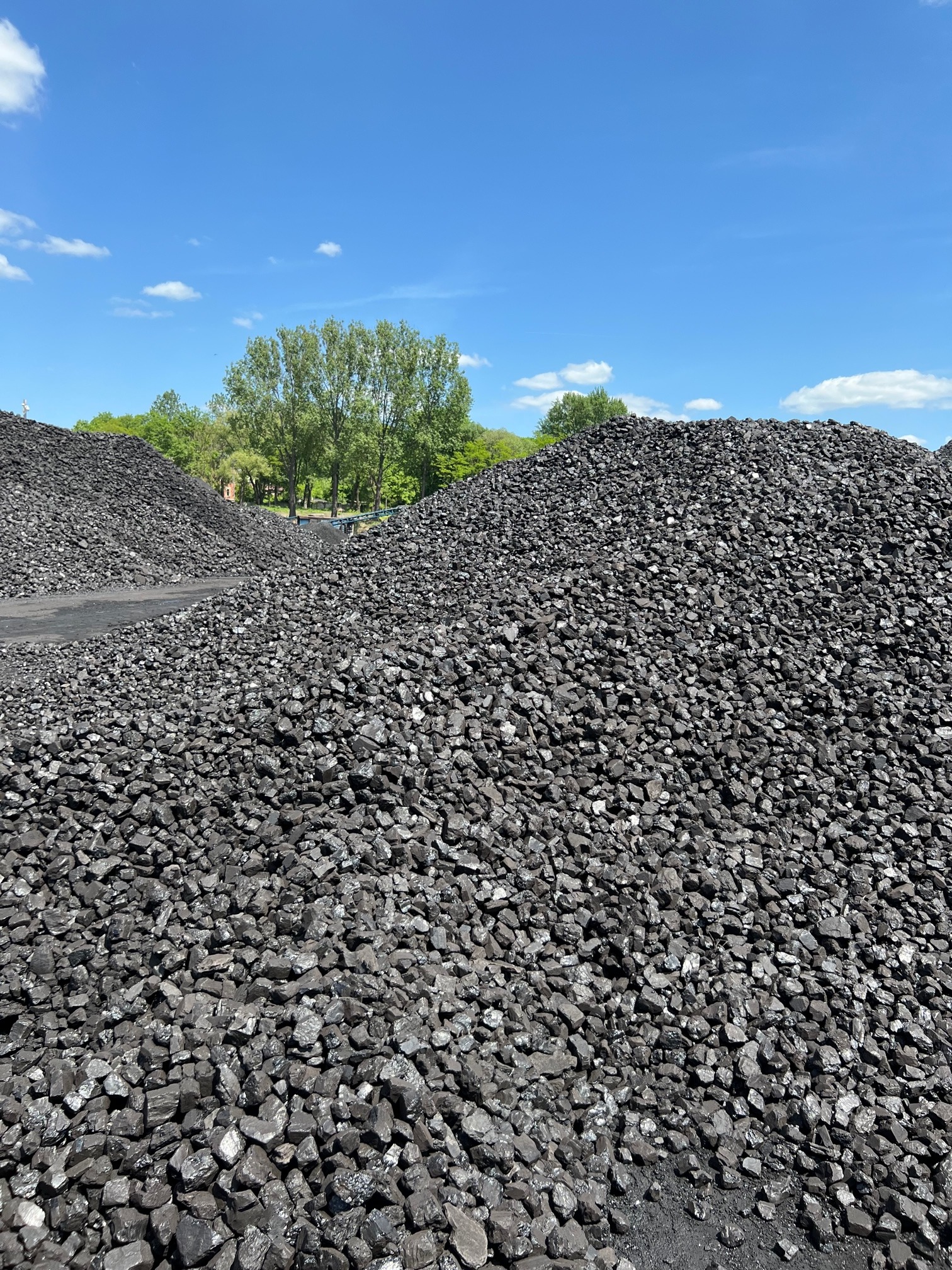 Góra błyszczącego, czarnego paliwa stałego na tle błękitnego nieba i drzew, z widoczną fakturą poszczególnych bryłek.