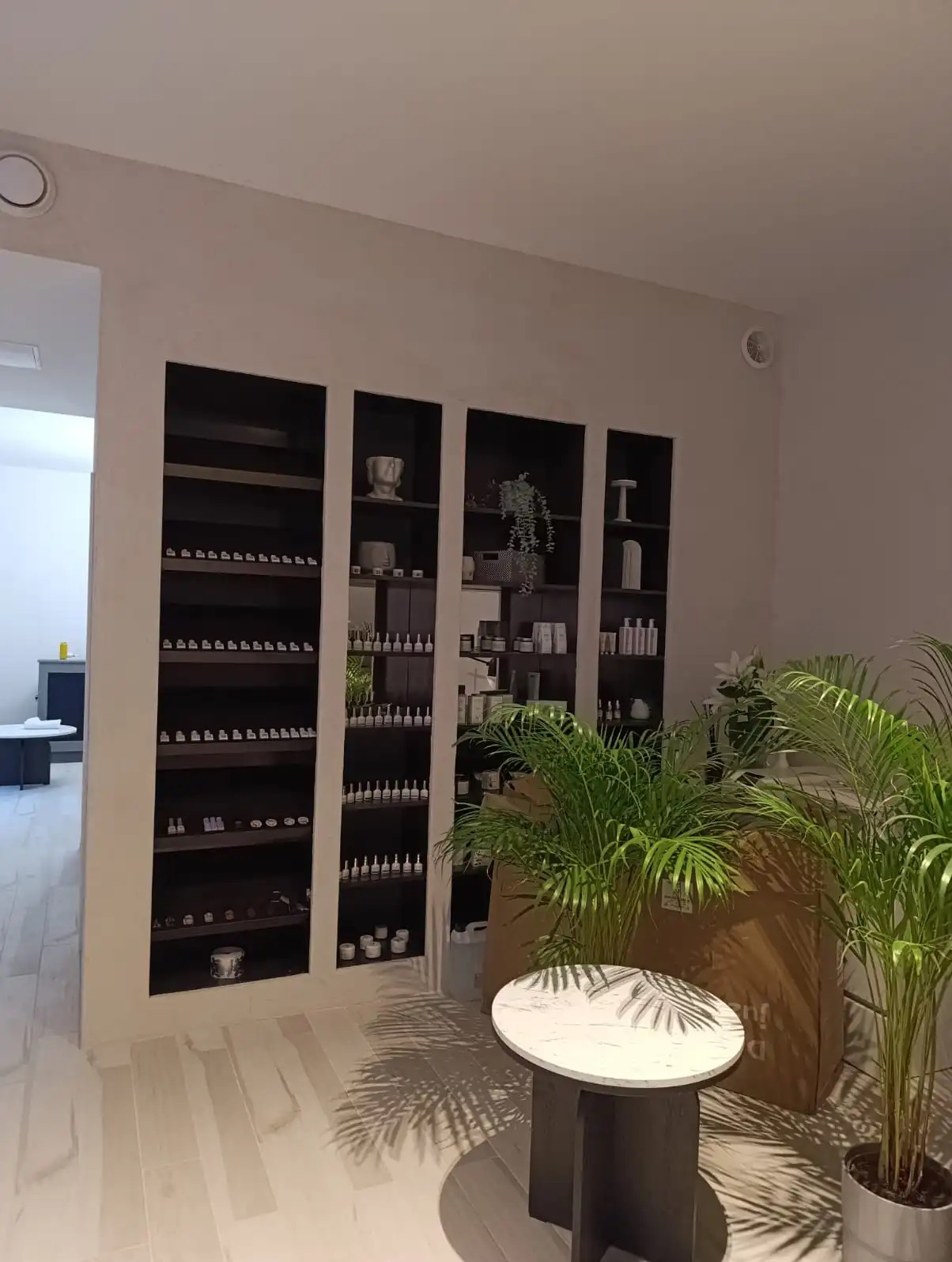 Minimalistyczne wnętrze sklepu z kosmetykami lub perfumerią, z ciemnymi regałami wypełnionymi flakonami i dekoracyjnymi roślinami w donicach, oświetlonymi naturalnym światłem.