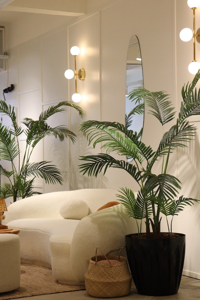 Jasne wnętrze z zaokrągloną, kremową sofą, palmami w czarnych donicach, plecionym koszem i owalnym lustrem na ścianie, oświetlone złotymi kinkietami.