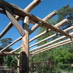 Surowa drewniana konstrukcja pergoli w trakcie budowy, z widocznymi belkami i słupami na tle błękitnego nieba i zieleni drzew