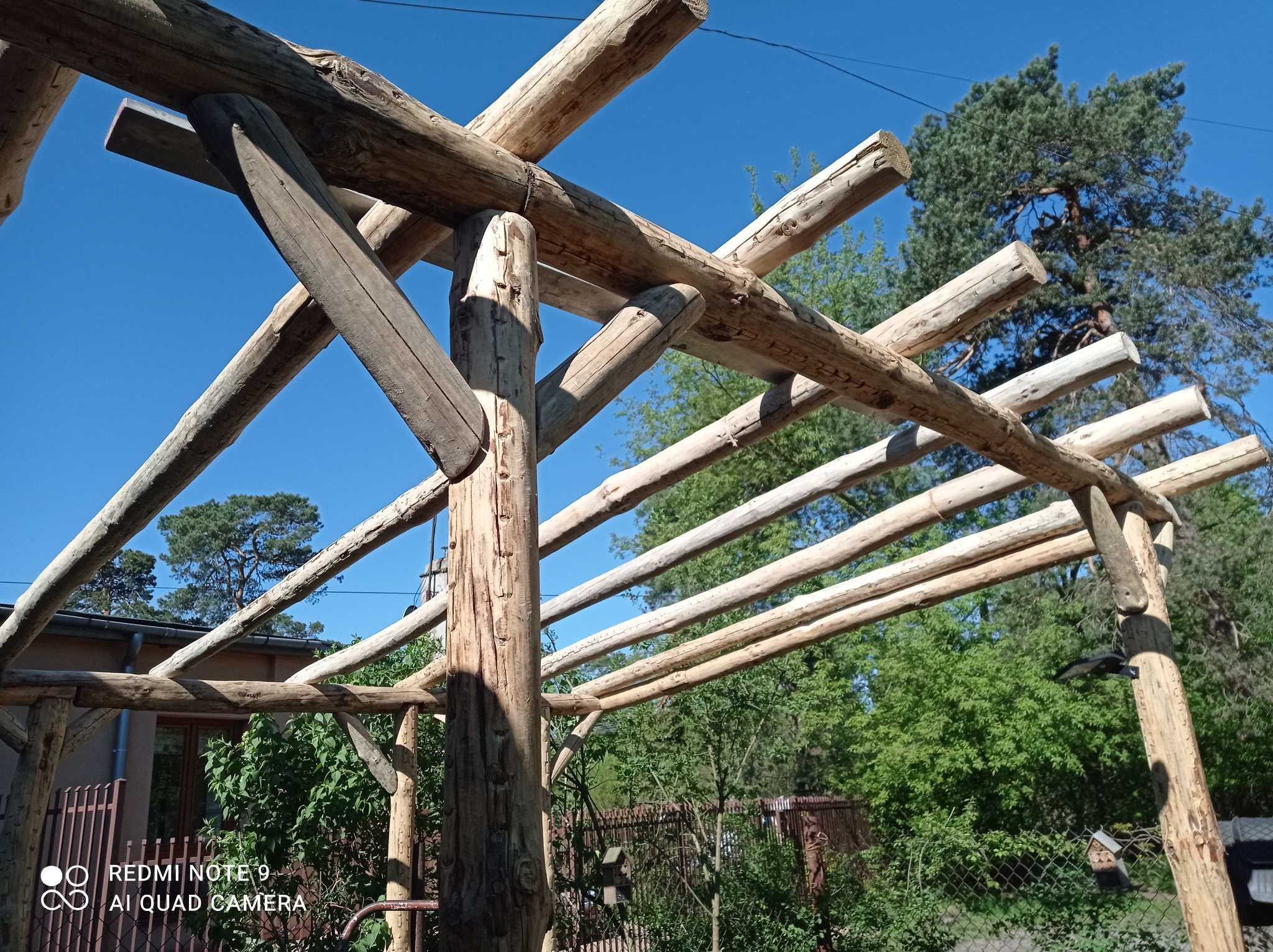 Surowa drewniana konstrukcja pergoli w trakcie budowy, z widocznymi belkami i słupami na tle błękitnego nieba i zieleni drzew