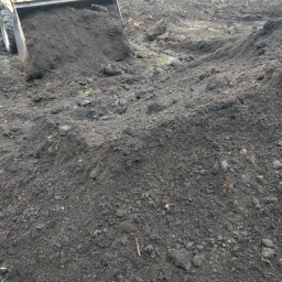 Tech-garden Jarosław Łukomski - Pierwszorzędne Nasadzanie Drzew Radziejów