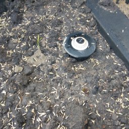 Trawa z rolki Piotrków Kujawski 4