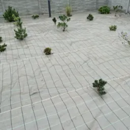 Przygotowanie terenu pod nasadzenia: rozłożona agrotkanina w kratę z młodymi drzewkami iglastymi i krzewami, betonowe ogrodzenie w tle.