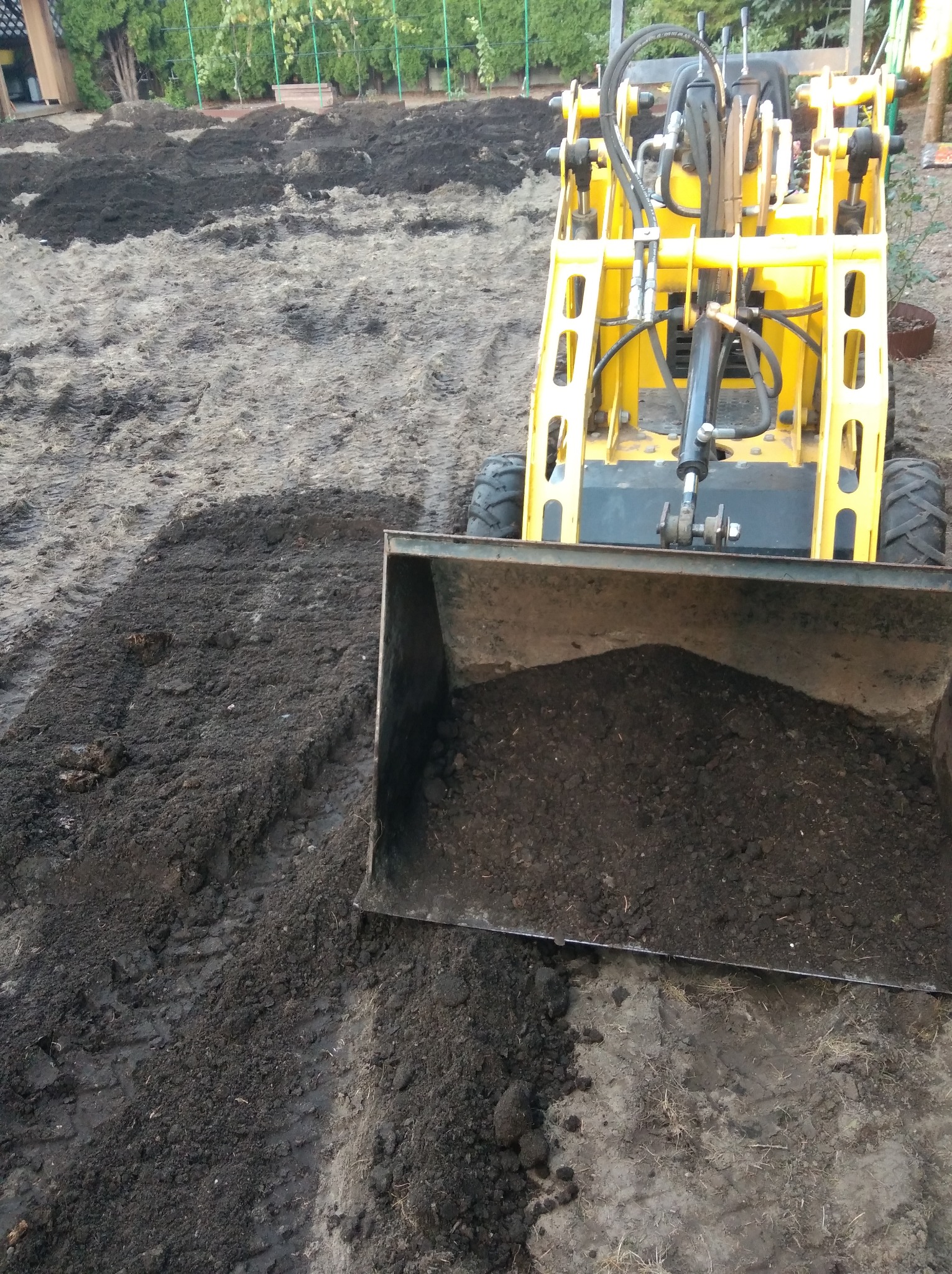 Żółta miniładowarka z łyżką wypełnioną ziemią na przygotowanym podłożu, prawdopodobnie pod trawnik. Widoczne ślady opon i nierówności terenu.