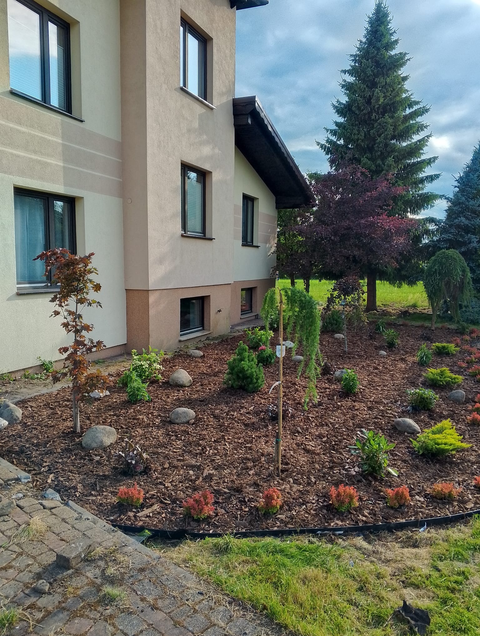 Ogród przydomowy z nasadzeniami: drzewka ozdobne, krzewy, kamienie, kora. Budynek z oknami w tle. Ujęcie z poziomu gruntu, podkreśla aranżację.