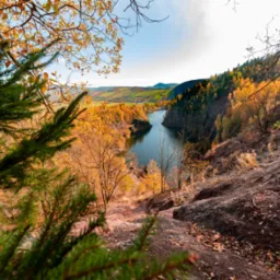 Jesienny krajobraz: widok z góry na dolinę z rzeką, z drzewami o żółtych liściach i zielonymi świerkami, ziemia w kolorze rdzy, błękitne niebo.