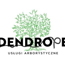 Dendrope Igor Grześko - Wyjątkowe Ścinanie Drzew Poznań