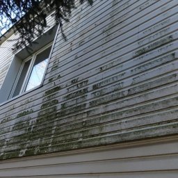 Mycie ciśnieniowe - Prace wysokościowe Szczecin