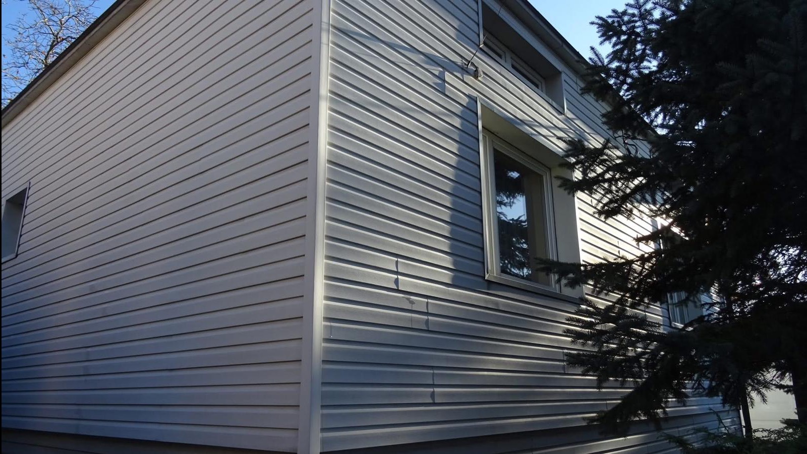Szara elewacja domu z sidingu, widoczny narożnik budynku i okno. Na elewacji widoczne zacieki. Częściowo zasłonięta przez drzewo iglaste.