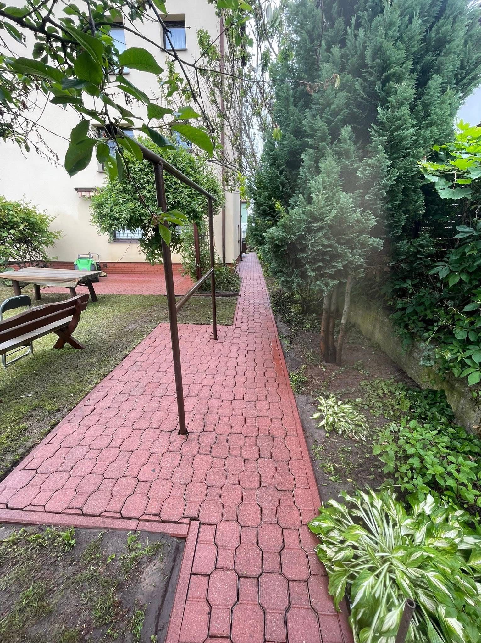 Czerwona kostka brukowa tworząca ścieżkę w ogrodzie, obok zielone rośliny i drzewa iglaste. W tle budynek z oknami i trawnik z meblami ogrodowymi.